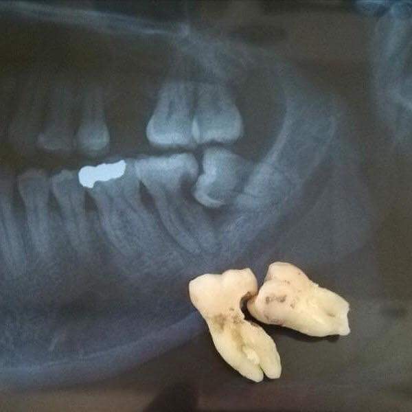 Stomatologia Łabno - aktualności