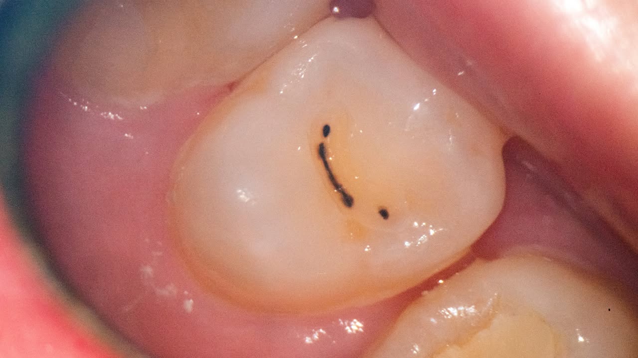 Stomatologia Łabno - aktualności