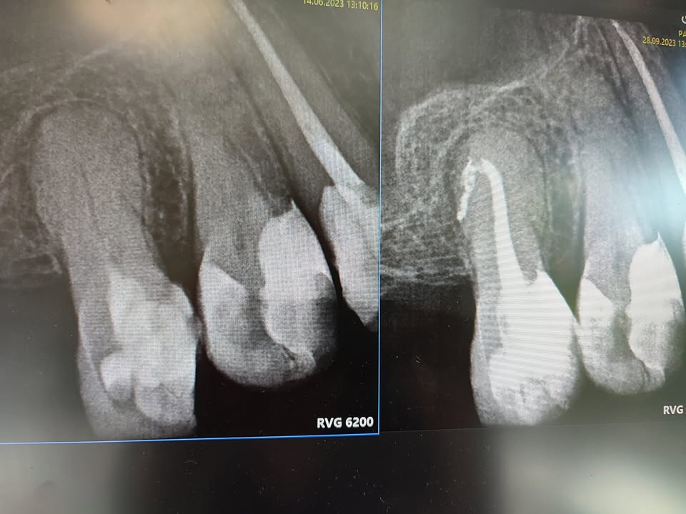 Stomatologia Łabno - aktualności