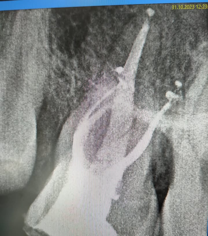 Stomatologia Łabno - aktualności