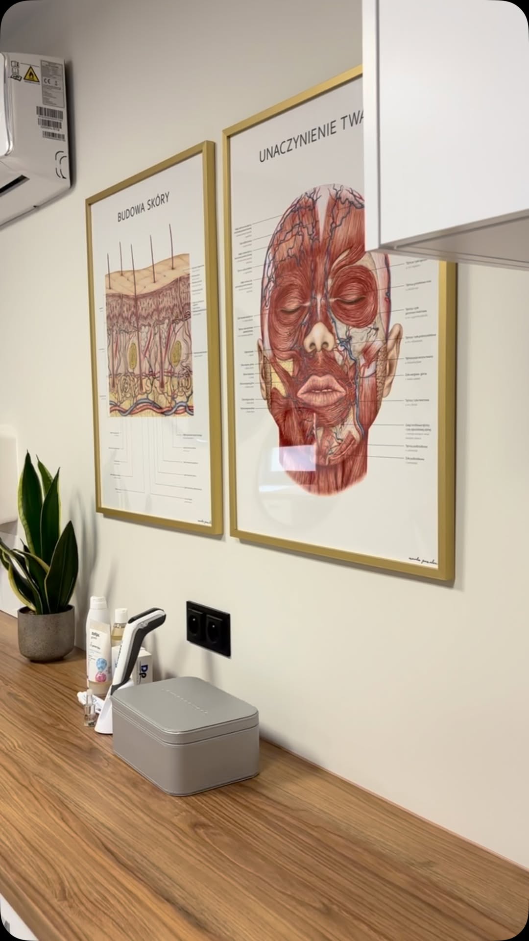 Stomatologia Łabno - aktualności